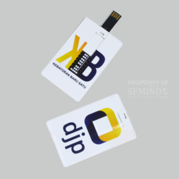 Flashdisk Kartu